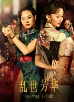 《乱世芳华》：烽火岁月下的爱恨纠葛，乱世佳人的命运何去何从？