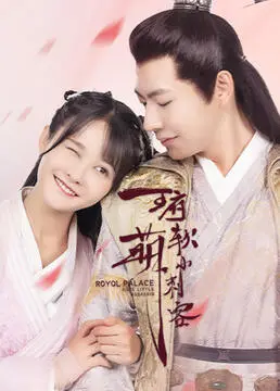 《王府软萌小刺客》：穿越古今的反差萌，宅斗权谋下的别样青春